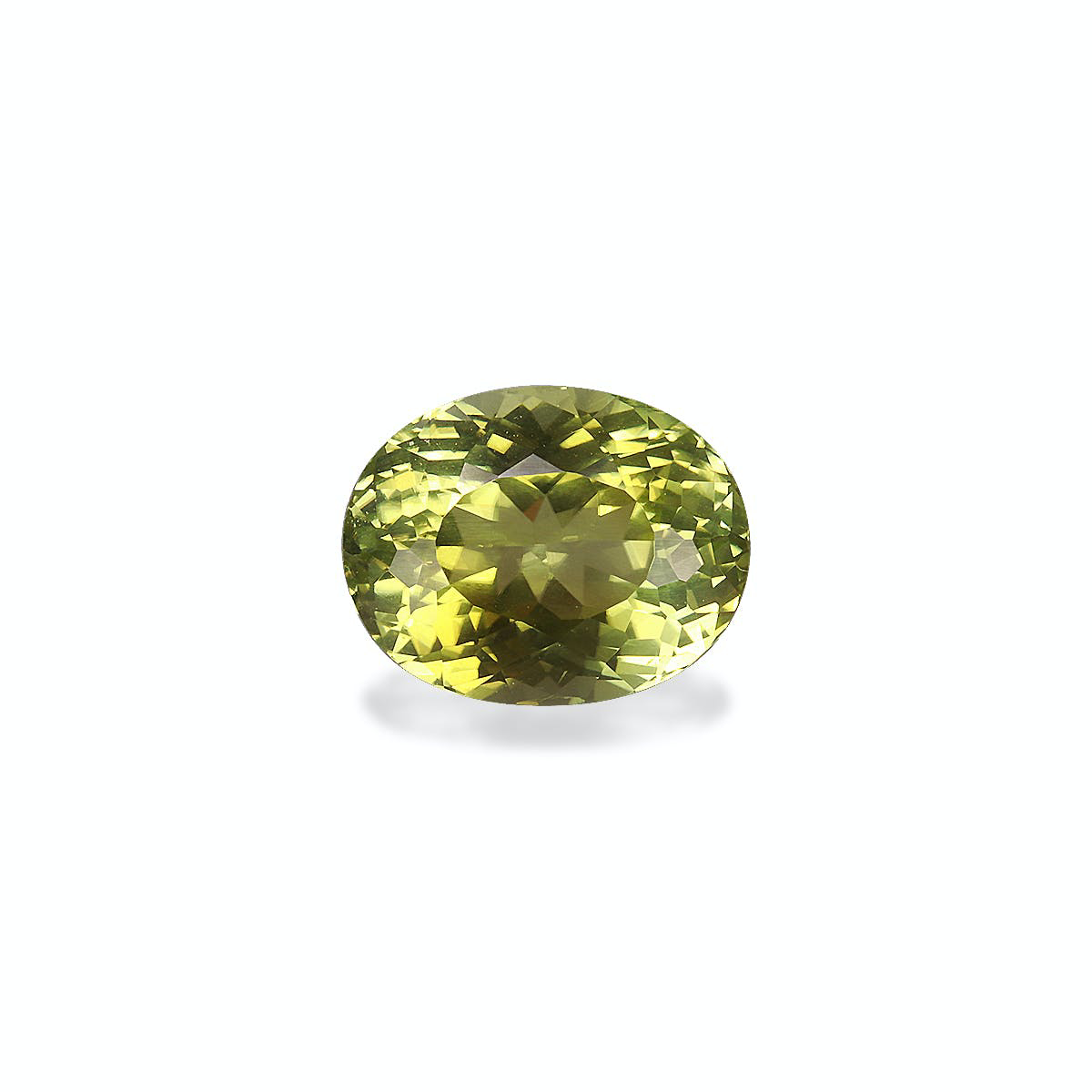 Picture of Daffodil Yellow Tourmaline 4.25ct - 10x8mm (TG1064)