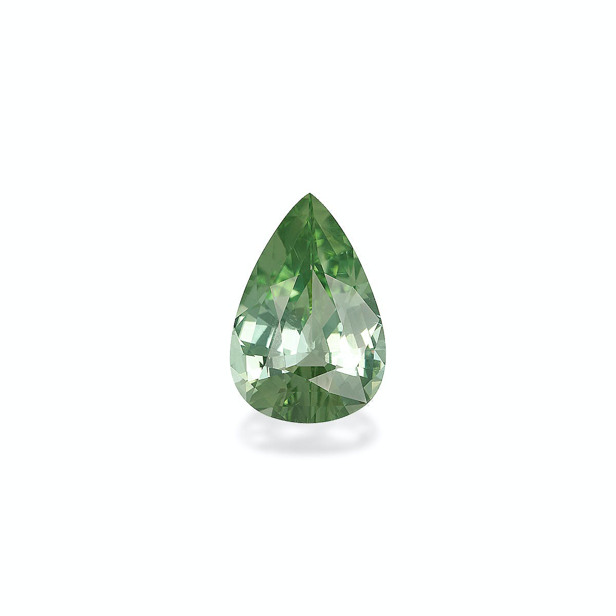 Picture of Green Tourmaline 10.76ct (TG1078)