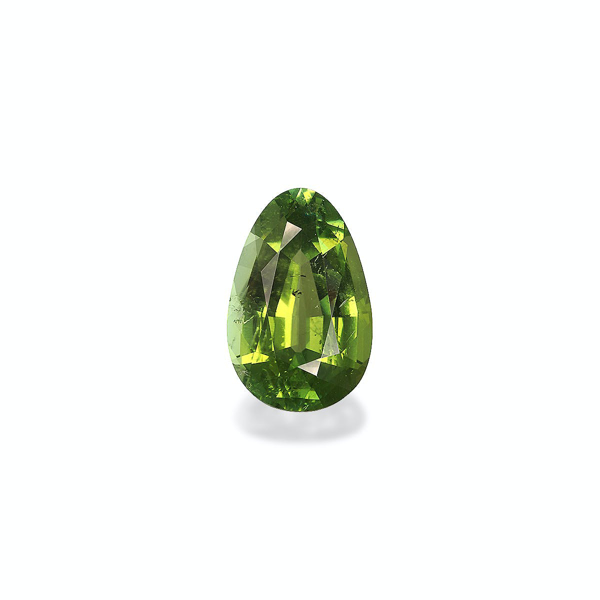 Green Tourmaline 11.64ct (TG1084)