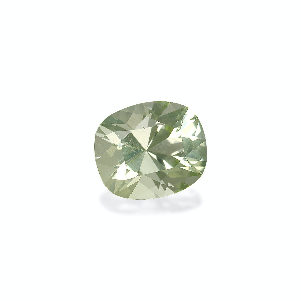 Picture of Mist Green Tourmaline 6.45ct - 13x11mm (TG1087)