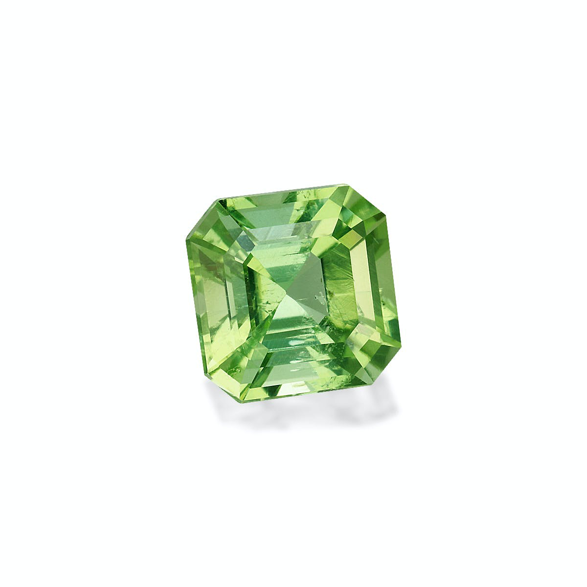 Picture of Olive Green Tourmaline 2.77ct - 8mm (TG1223)