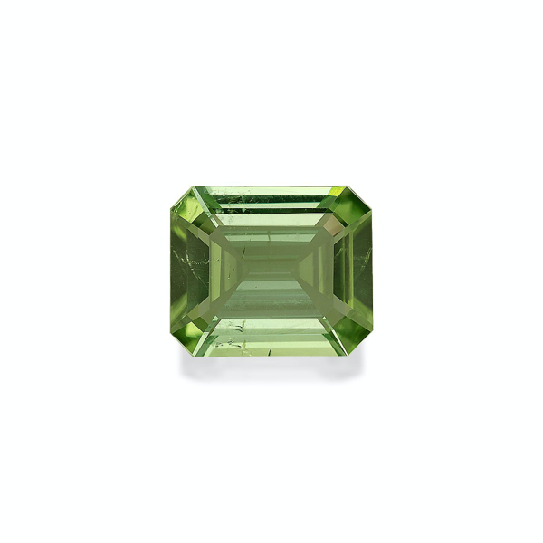 Green Tourmaline 7.07ct - 13x11mm (TG1309)
