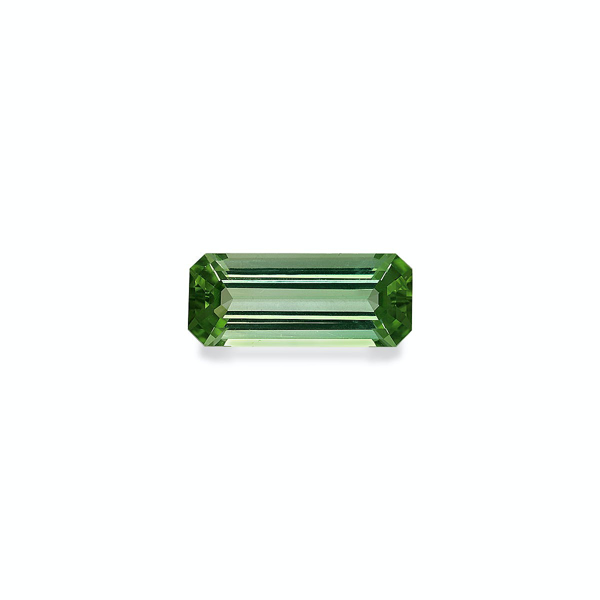 Pistachio Green Tourmaline 8.30ct (TG1314)