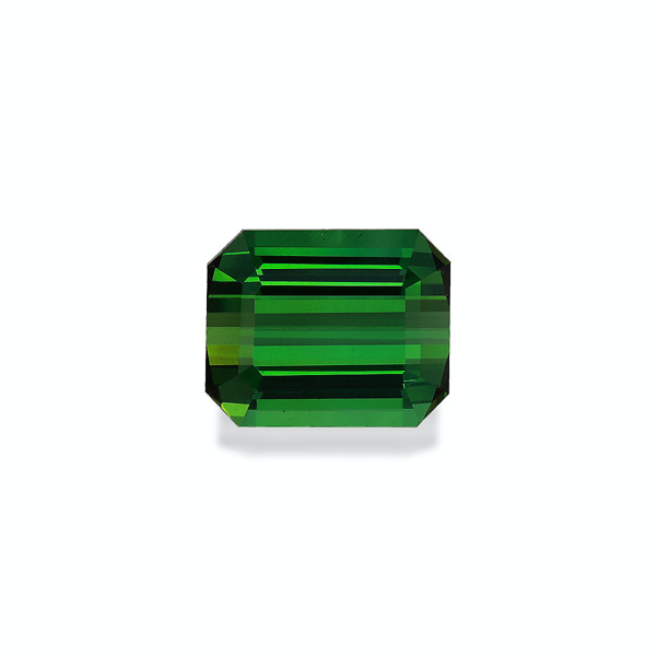 Vivid Green Tourmaline 21.35ct (TG1341)