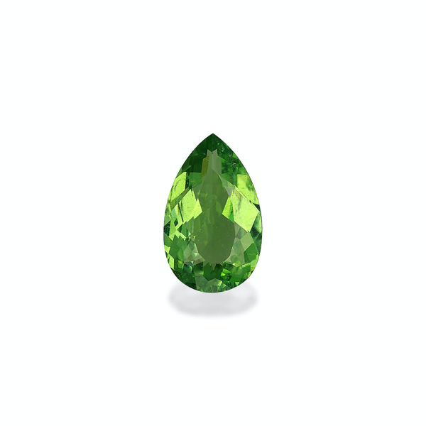 Green Paraiba Tourmaline 12.89ct (PA1100)