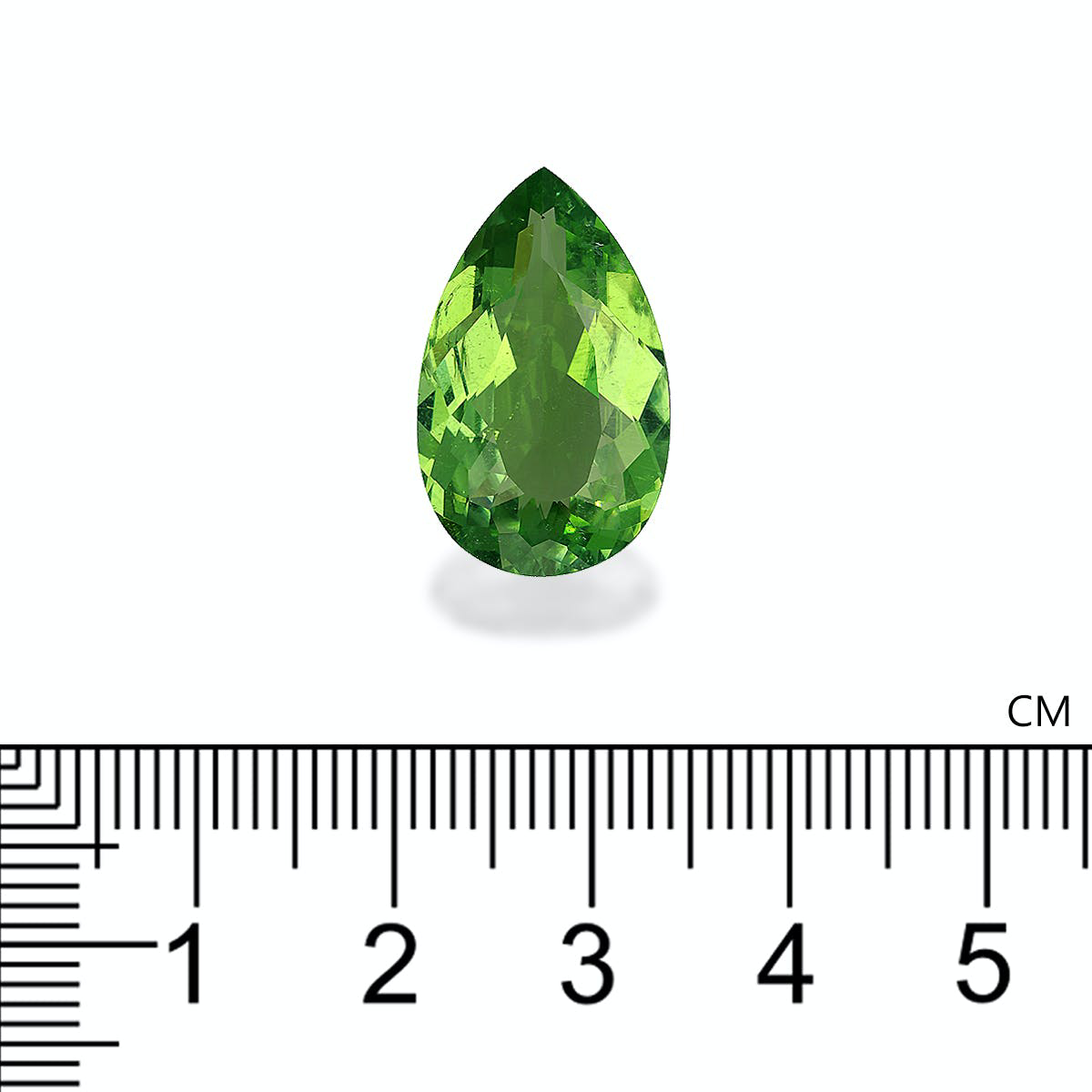 Picture of Green Paraiba Tourmaline 12.89ct (PA1100)