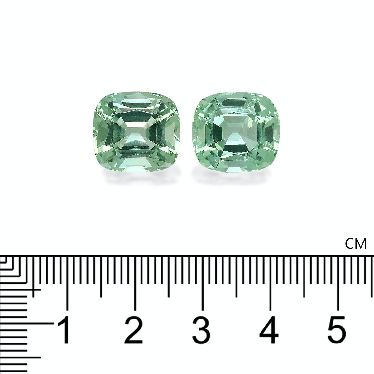 Picture of Mist Green Tourmaline 14.76ct - Pair (TG1366)