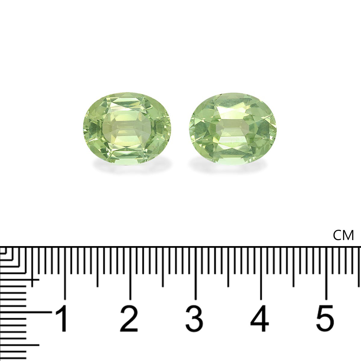 Picture of Pale Green Tourmaline 13.42ct - 13x11mm Pair (TG1367)