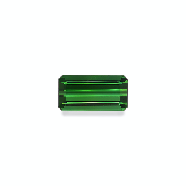 Vivid Green Tourmaline 8.54ct (TG1387)