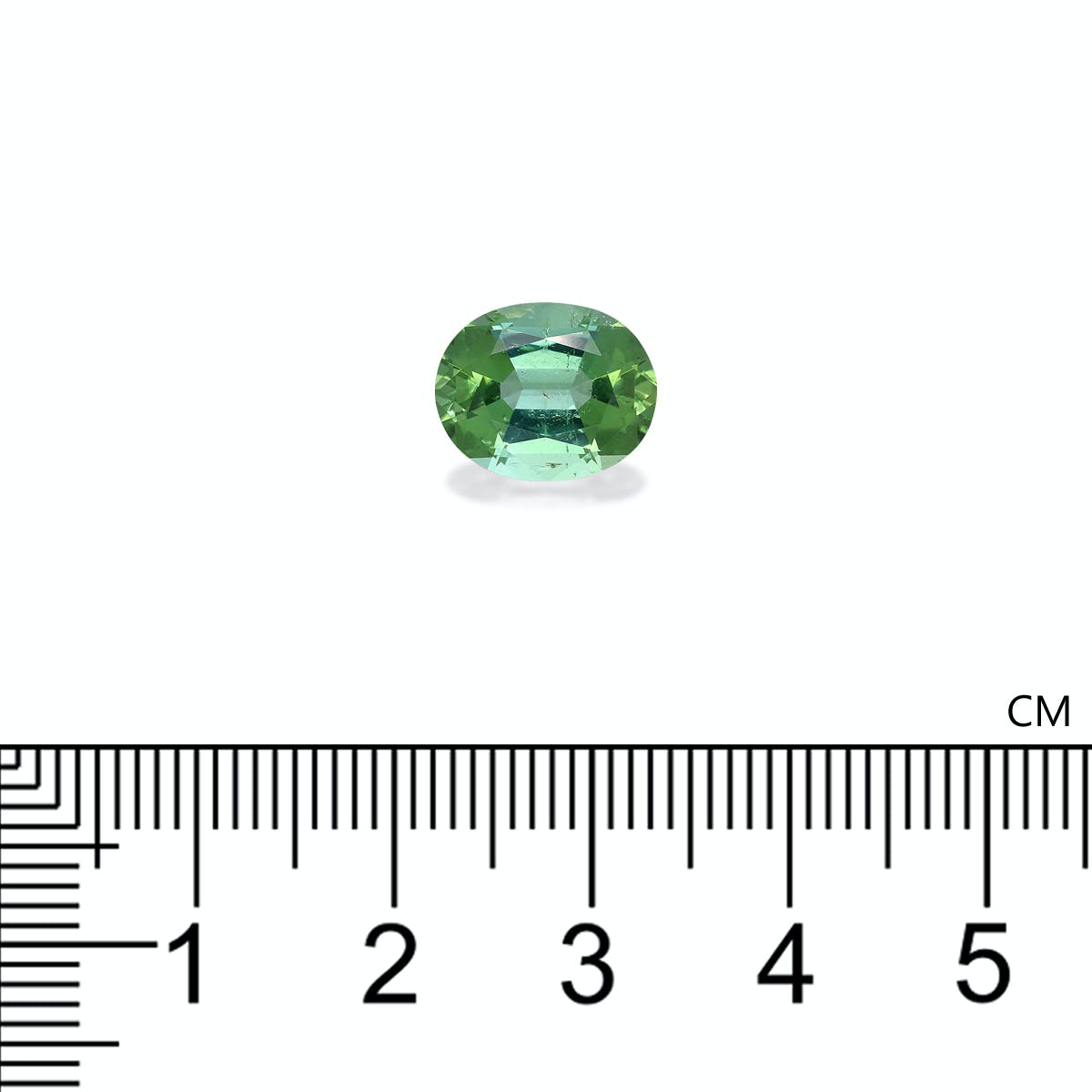 Picture of Seafoam Green Tourmaline 3.79ct - 11x9mm (TG1423)