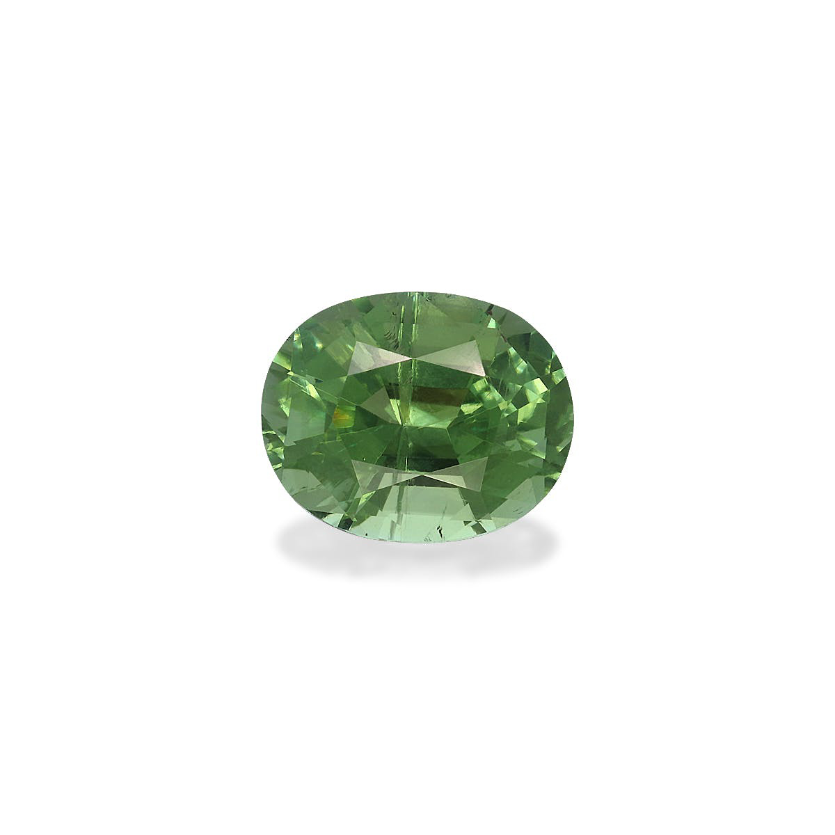 Picture of Green Tourmaline 3.30ct - 10x8mm (TG1429)