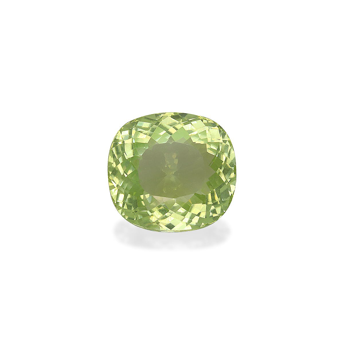 Picture of Green Cuprian Tourmaline 17.28ct (PA1132)