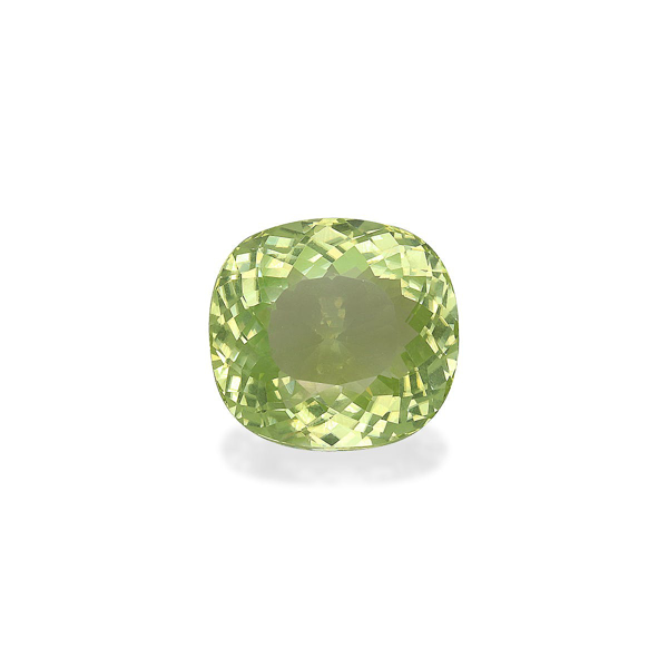 Green Cuprian Tourmaline 17.28ct (PA1132)