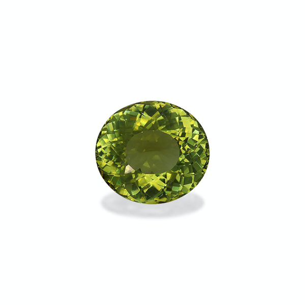 Lime Green Cuprian Tourmaline 14.35ct (MZ0247)