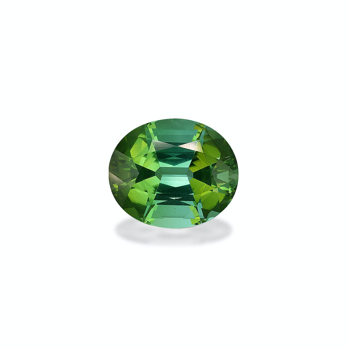 Picture of Seafoam Green Tourmaline 23.06ct (TG1454)