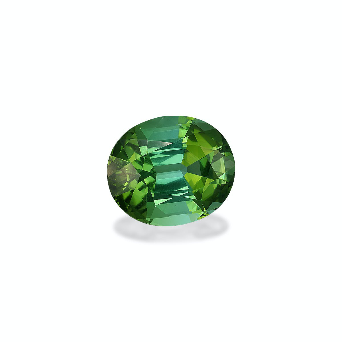 Picture of Seafoam Green Tourmaline 23.06ct (TG1454)