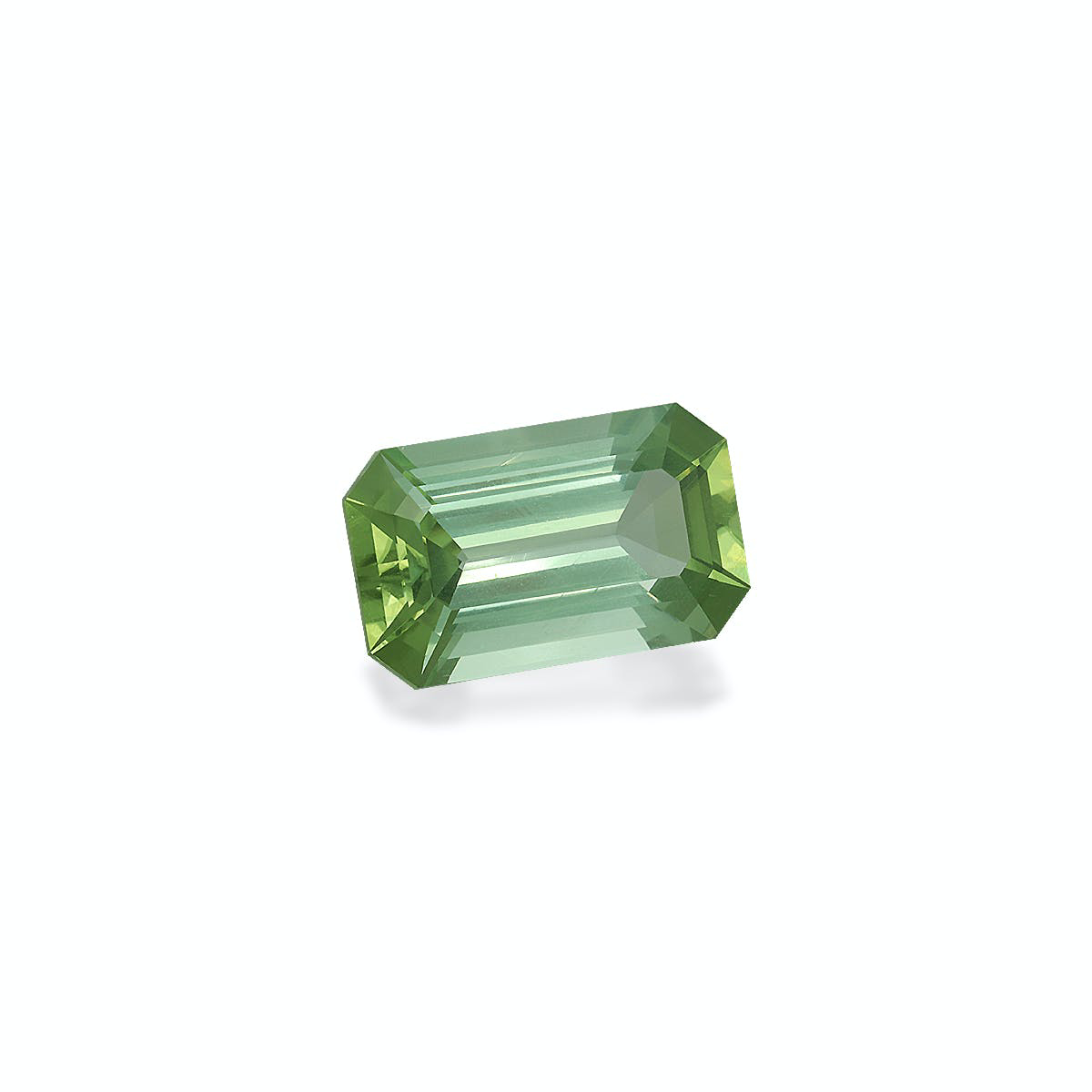 Picture of Mist Green Tourmaline 15.34ct (TG1485)