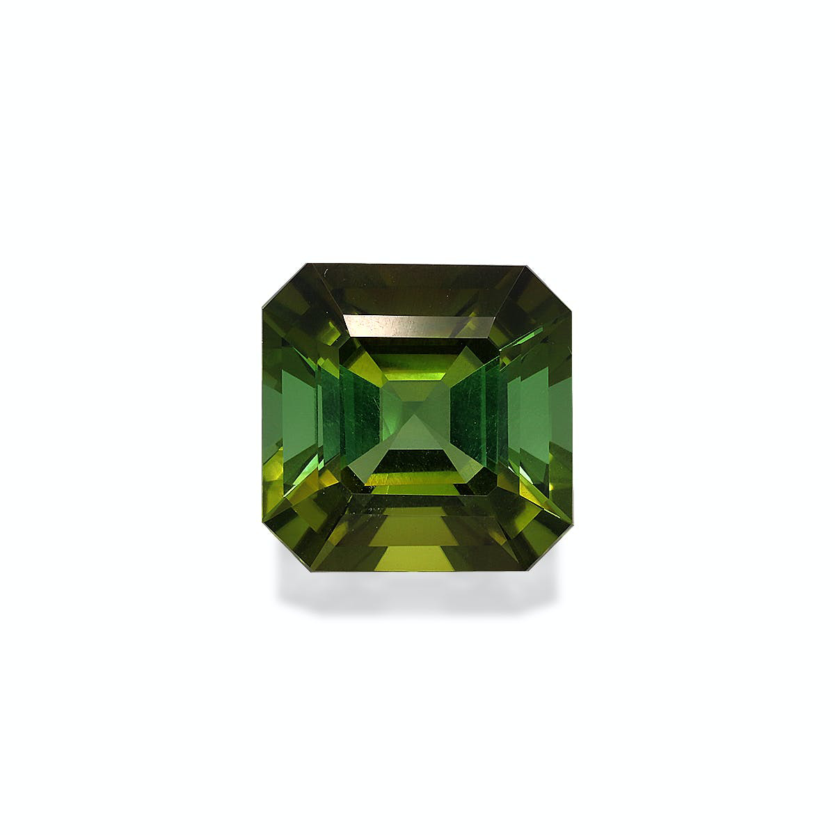 Picture of Forest Green Tourmaline 8.39ct - 12mm (TG1491)