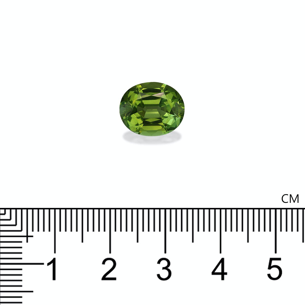 Picture of Forest Green Tourmaline 4.87ct - 12x10mm (TG1493)