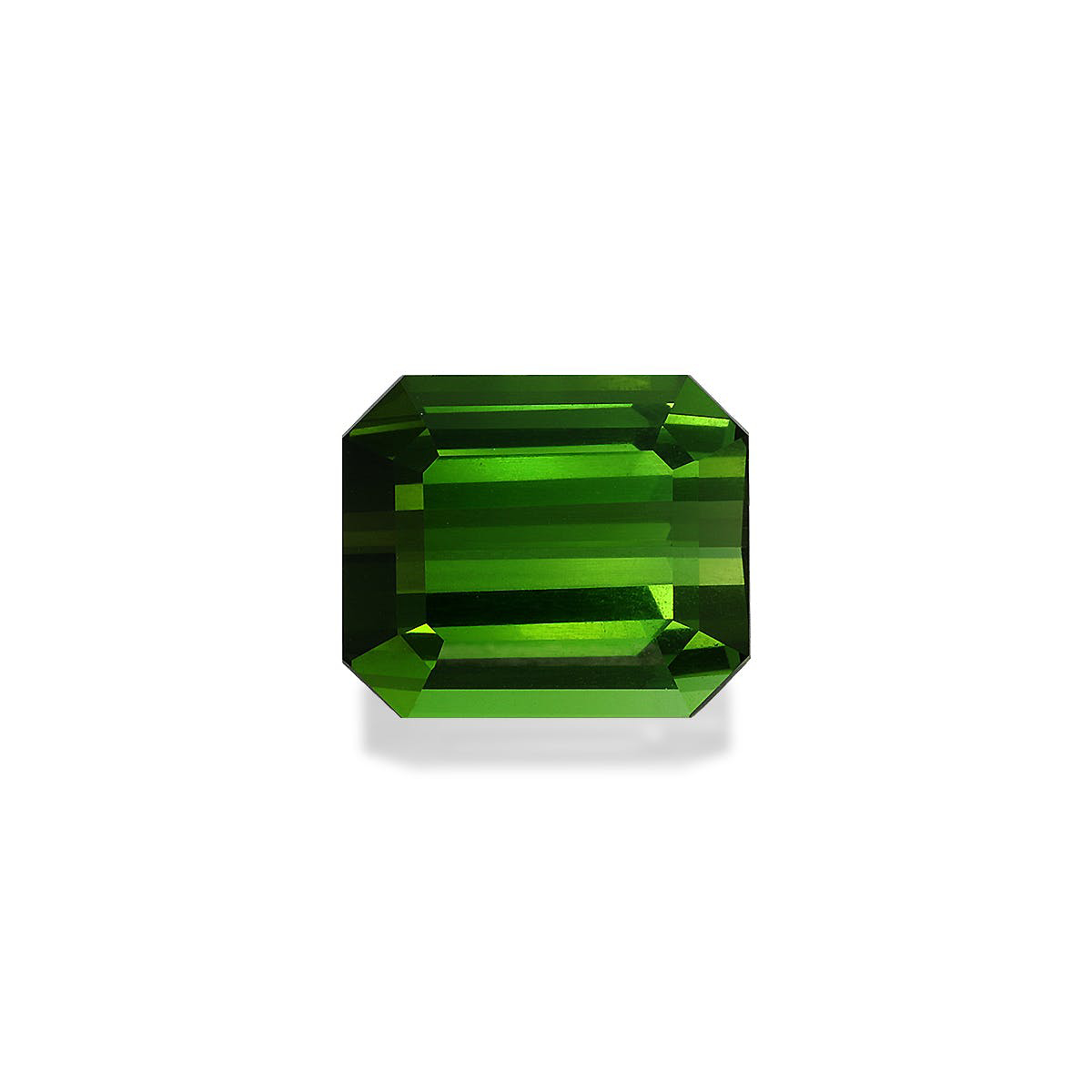 Picture of Moss Green Tourmaline 8.28ct - 12x10mm (TG1500)