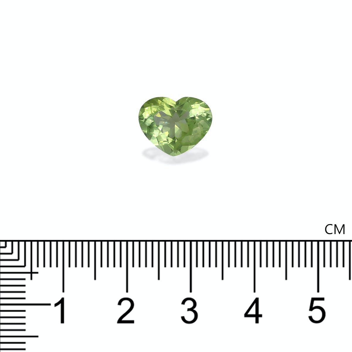 Picture of Pale Green Tourmaline 3.66ct - 11x9mm (TG1527)