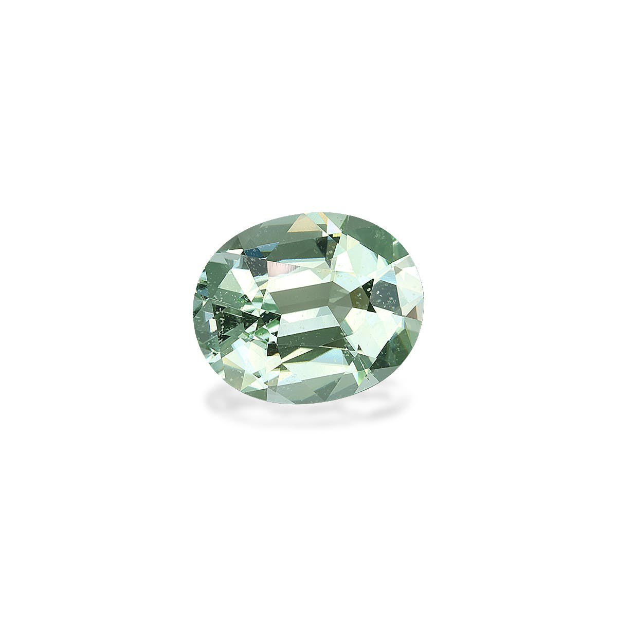 Picture of Mist Green Tourmaline 9.63ct (TG1529)