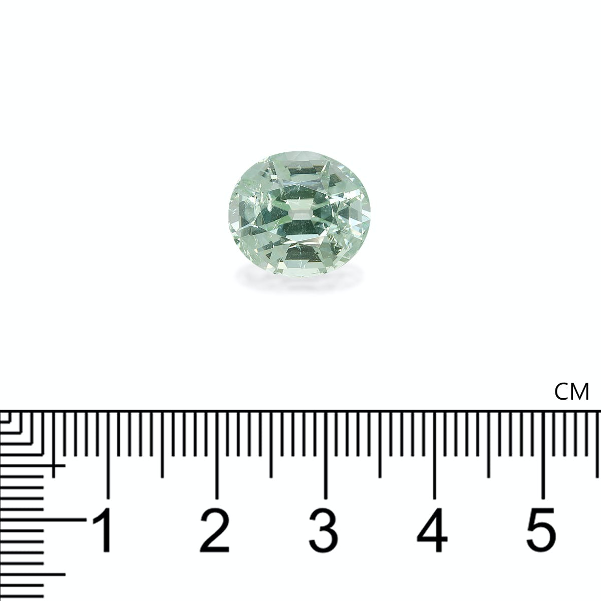 Picture of Mist Green Tourmaline 7.23ct - 13x11mm (TG1535)