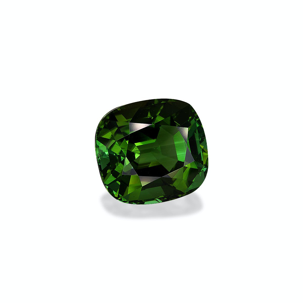Picture of Forest Green Tourmaline 23.47ct (TG1554)