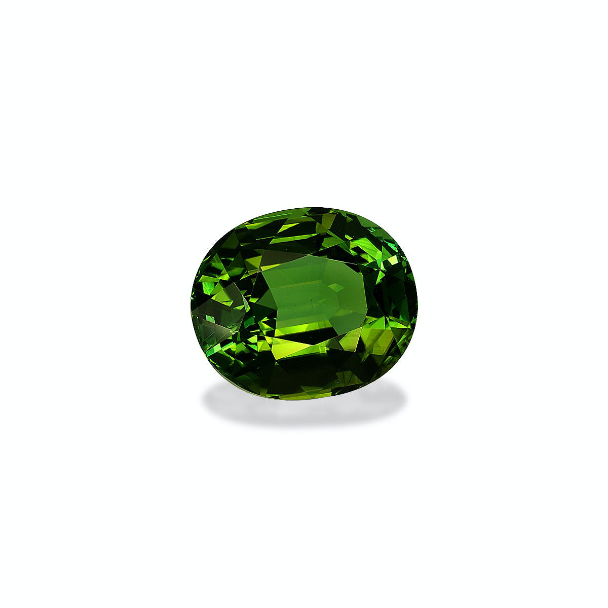 Picture of Green Tourmaline 14.20ct (TG1556)