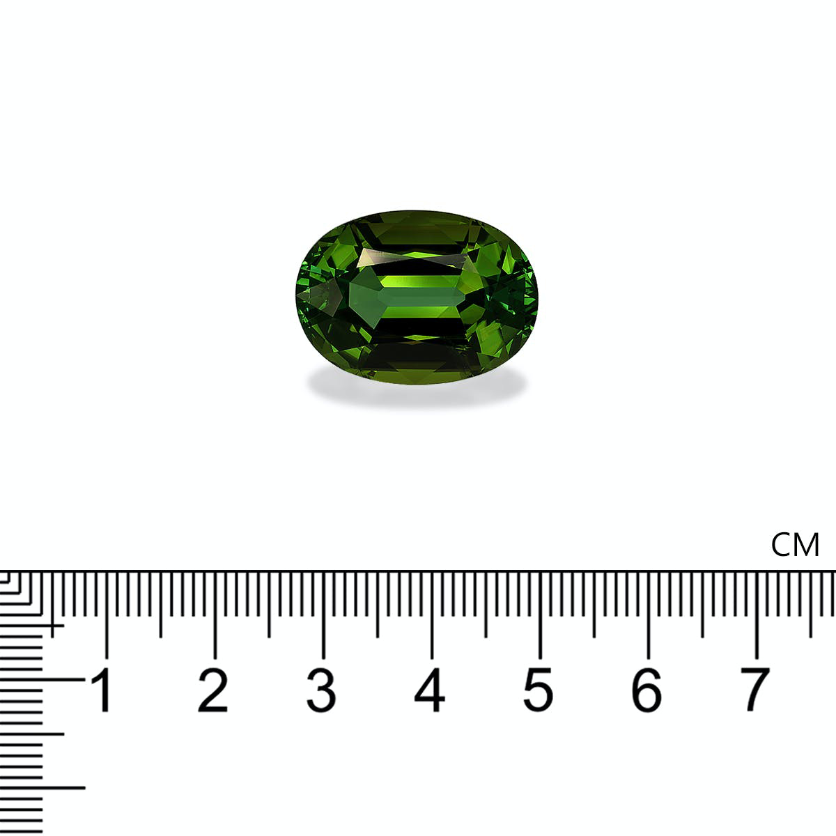 Picture of Forest Green Tourmaline 28.05ct (TG1562)