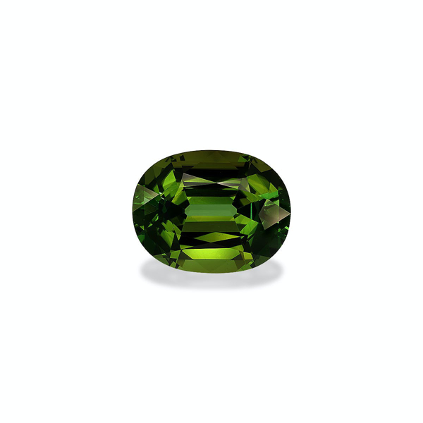 Forest Green Tourmaline 21.76ct (TG1563)