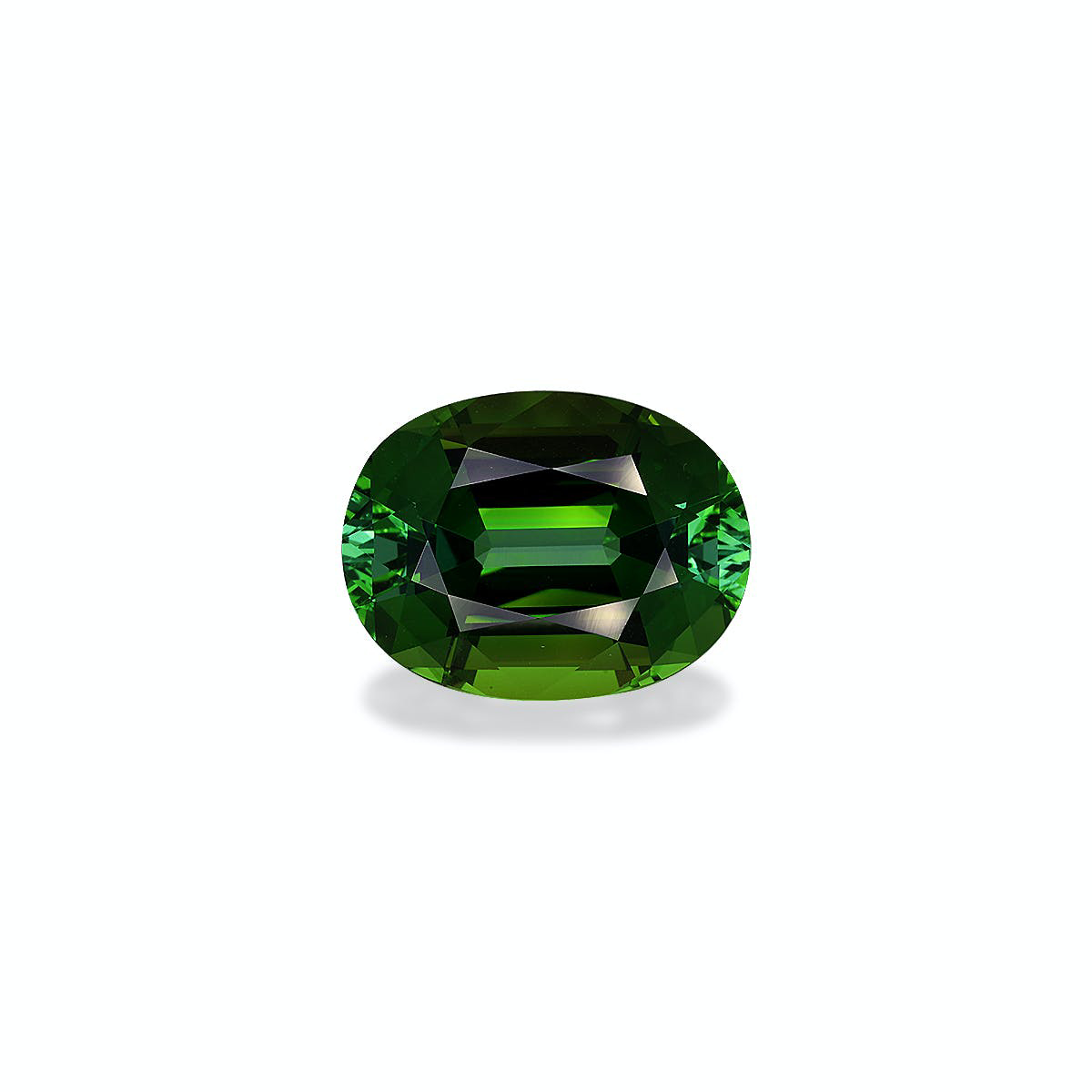 Picture of Forest Green Tourmaline 16.76ct (TG1565)