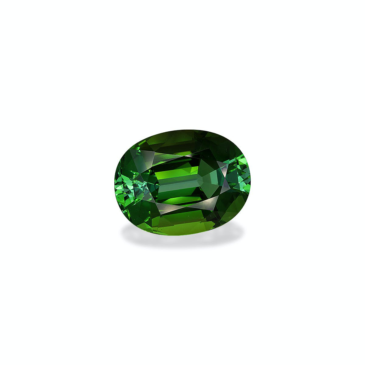 Picture of Forest Green Tourmaline 16.76ct (TG1565)