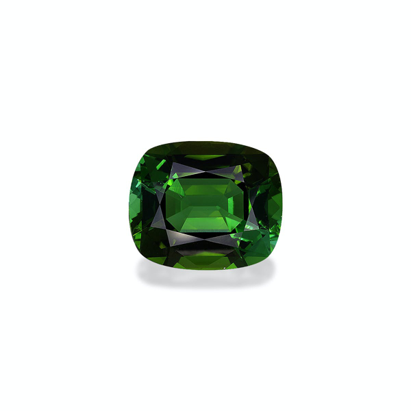Forest Green Tourmaline 17.43ct (TG1567)