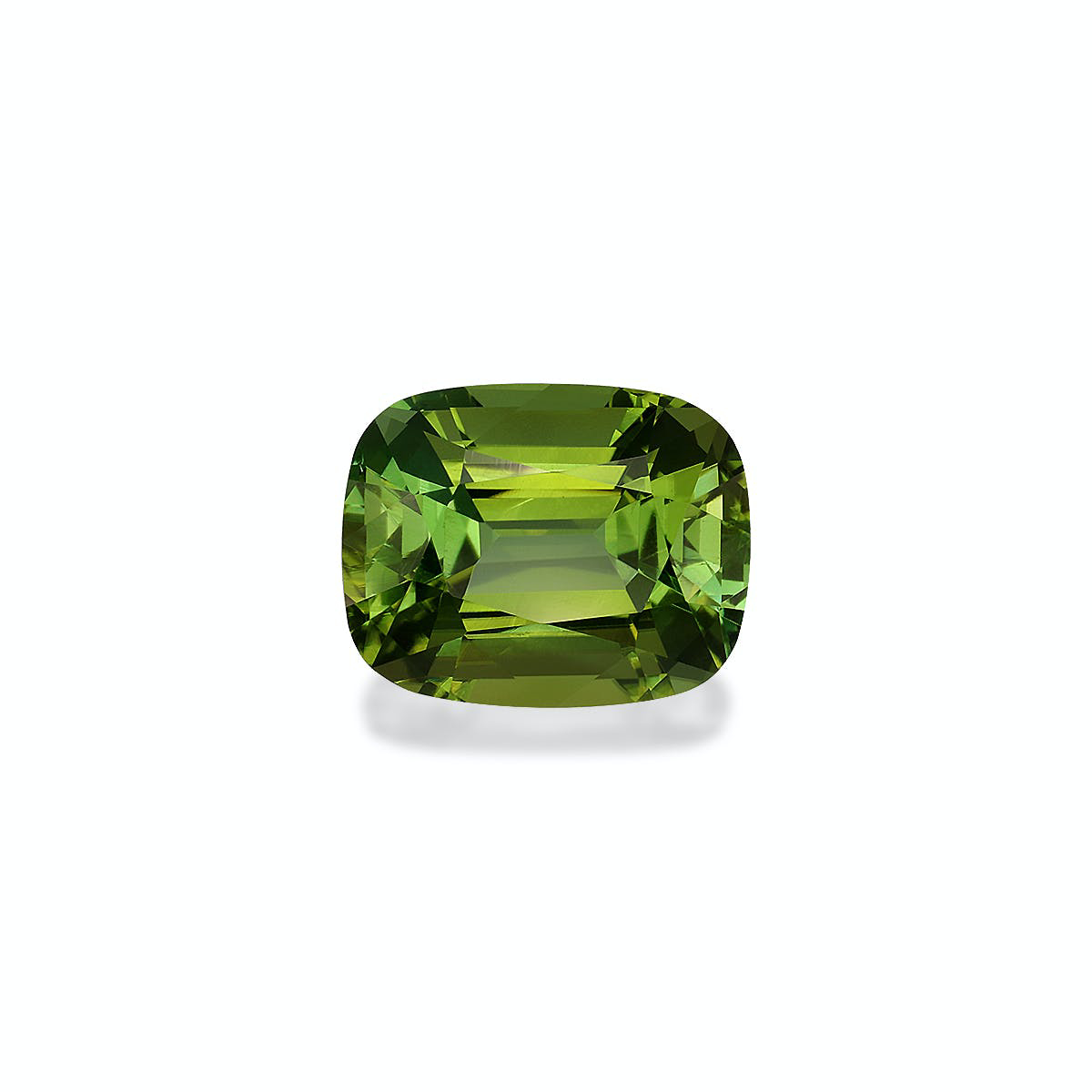 Picture of Pistachio Green Tourmaline 5.88ct - 11x9mm (TG1577)