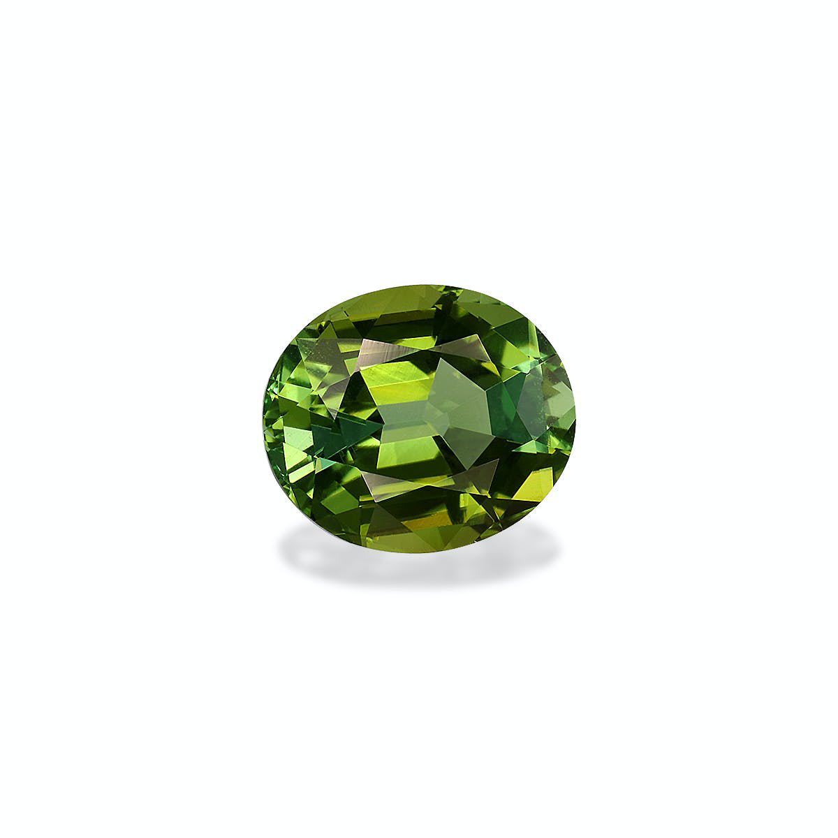 Picture of Lime Green Tourmaline 3.35ct - 10x8mm (TG1578)