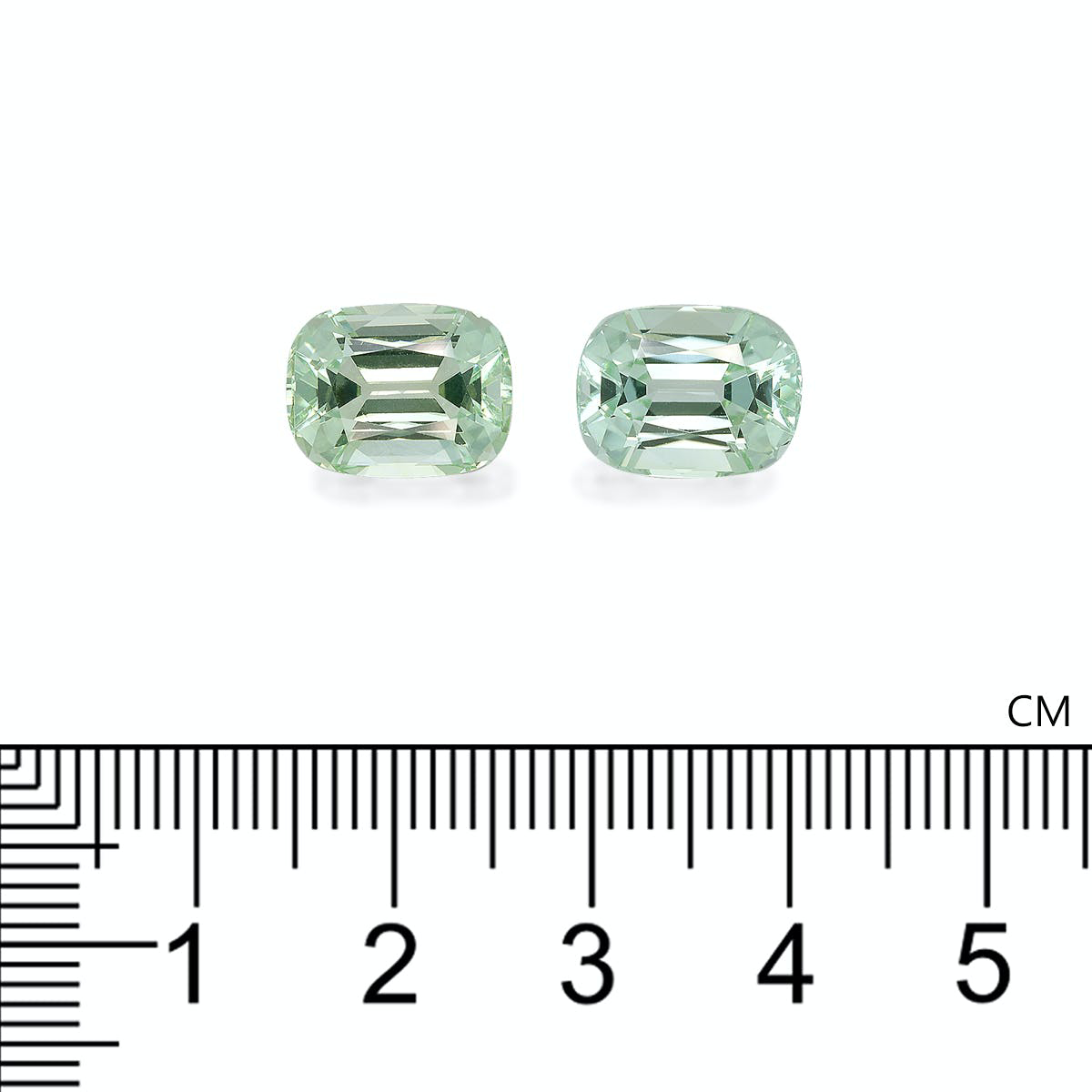 Picture of Mist Green Tourmaline 10.58ct - 11x9mm Pair (TG1580)