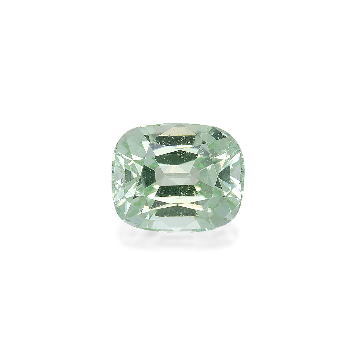 Picture of Mist Green Tourmaline 5.42ct - 11x9mm (TG1582)