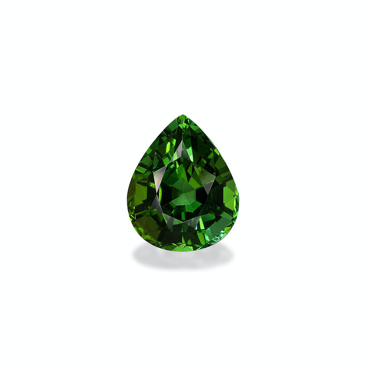 Picture of Forest Green Tourmaline 6.60ct (TG1588)