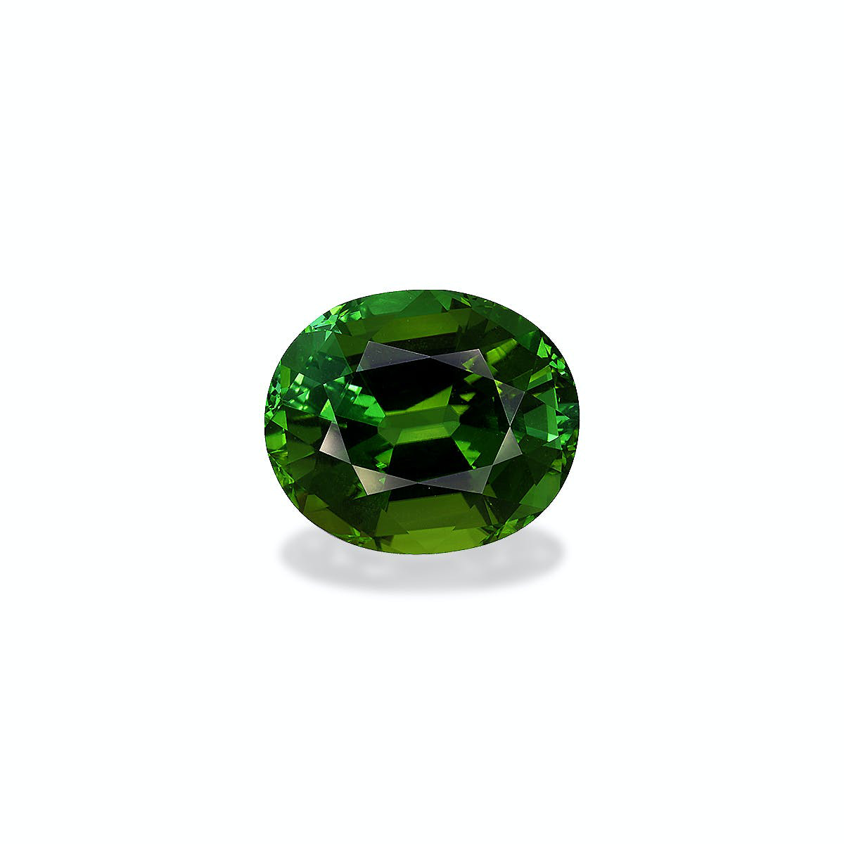 Picture of Forest Green Tourmaline 8.72ct (TG1592)