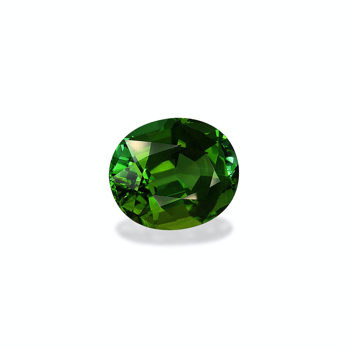 Picture of Forest Green Tourmaline 8.72ct (TG1592)