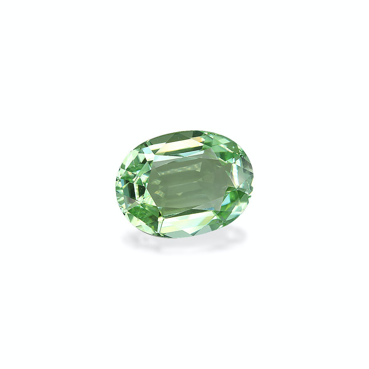 Picture of Pale Green Tourmaline 19.63ct (TG1605)