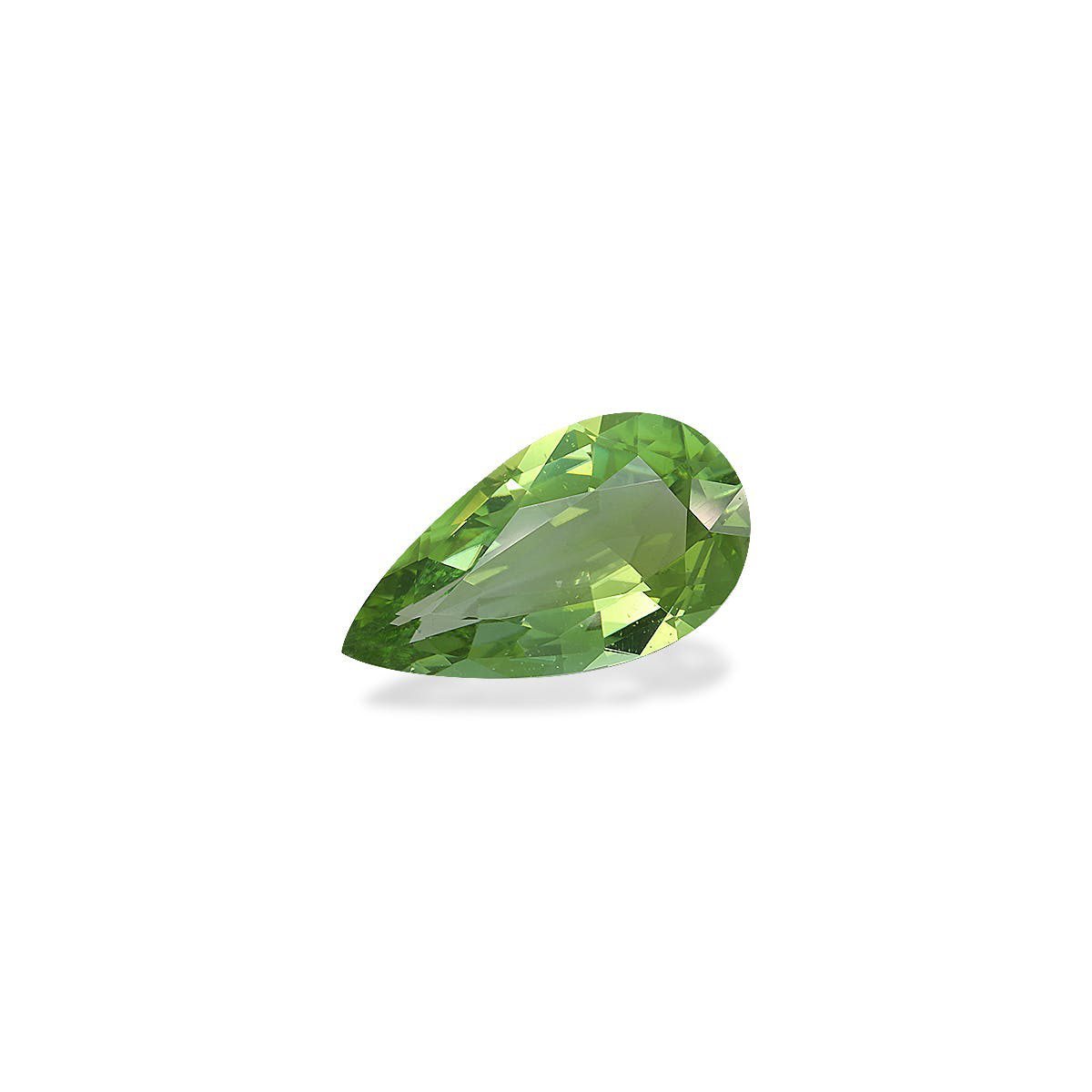 Picture of Lime Green Tourmaline 10.07ct (TG1610)