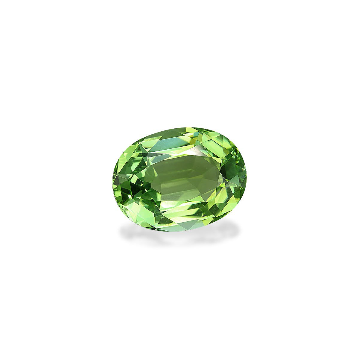 Picture of Green Tourmaline 7.46ct (TG1623)
