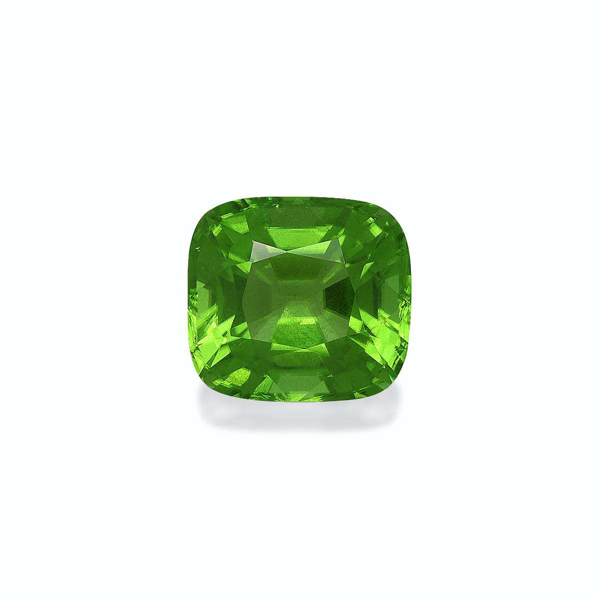 Picture of Vivid Green Peridot 10.91ct (PD0269)