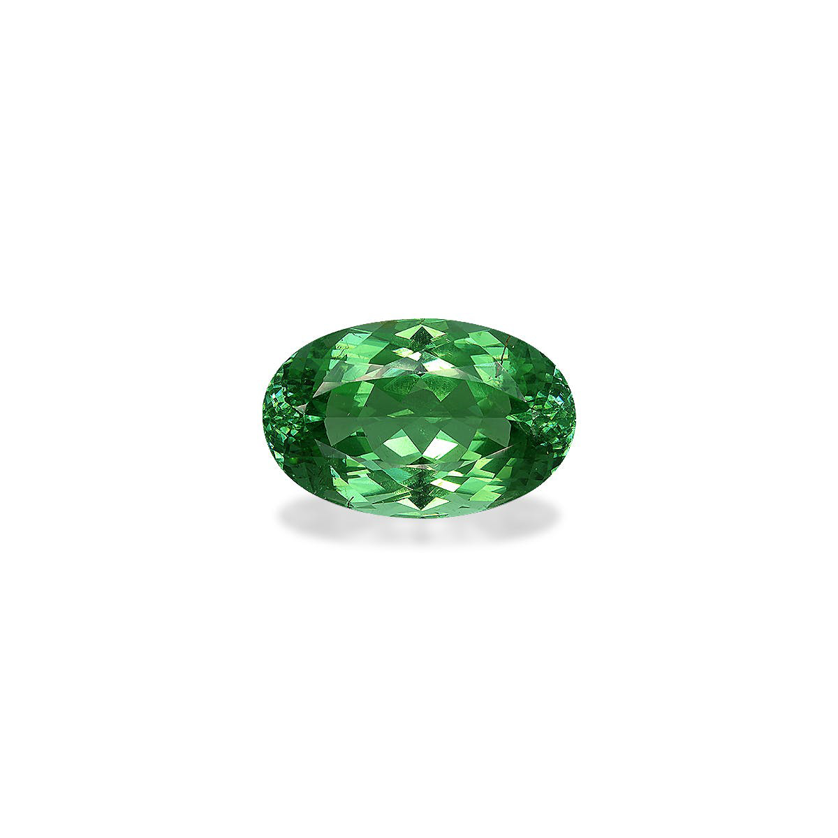Picture of Vivid Green Paraiba Tourmaline 39.12ct (PA1392)