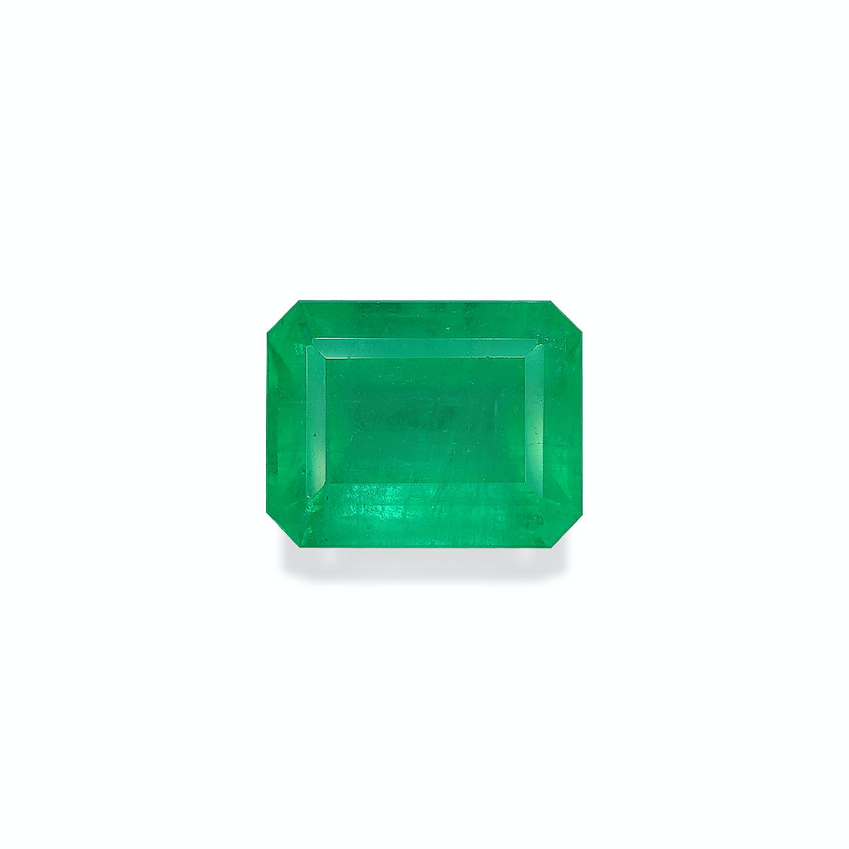 Picture of Vivid Green Colombian Emerald 6.35ct (EM0080)