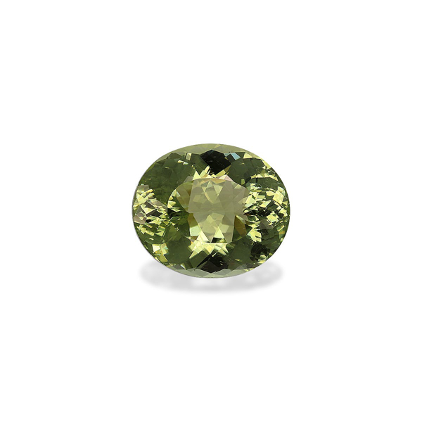 Lime Green Cuprian Tourmaline 10.68ct - 15x13mm (PA1432)