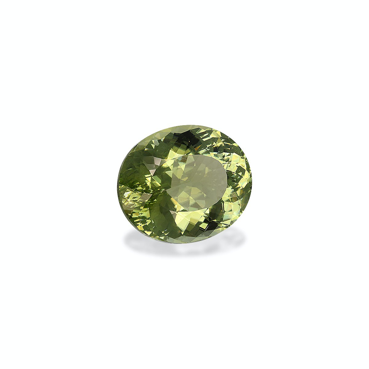 Picture of Lime Green Cuprian Tourmaline 10.68ct - 15x13mm (PA1432)