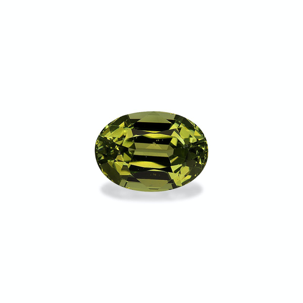 Pistachio Green Cuprian Tourmaline 10.95ct (MZ0282)